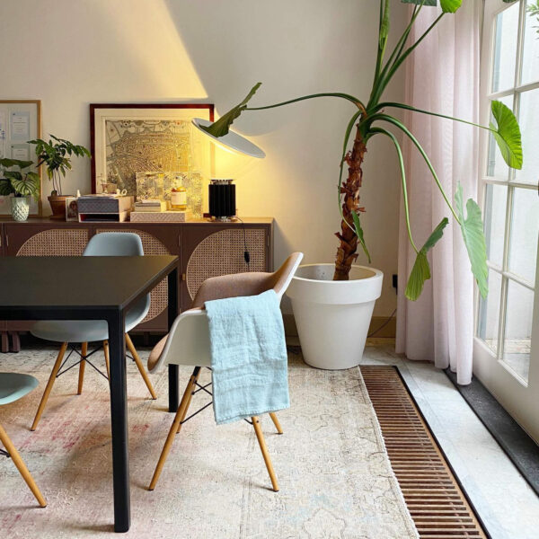 Eames daw stol i hvid udstillet med sort spisebord og plante